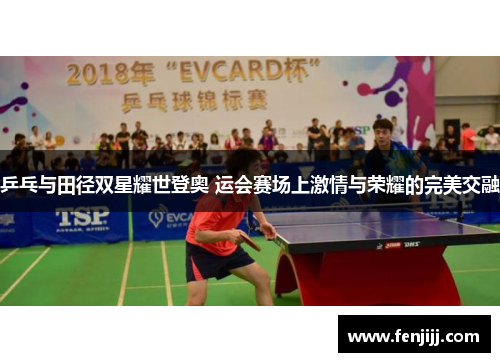 乒乓与田径双星耀世登奥 运会赛场上激情与荣耀的完美交融