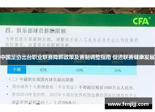 中国足协出台职业联赛降薪政策及赛制调整指南 促进联赛健康发展