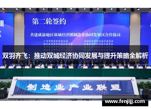 双羽齐飞：推动双城经济协同发展与提升策略全解析